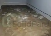 3 666666666666666